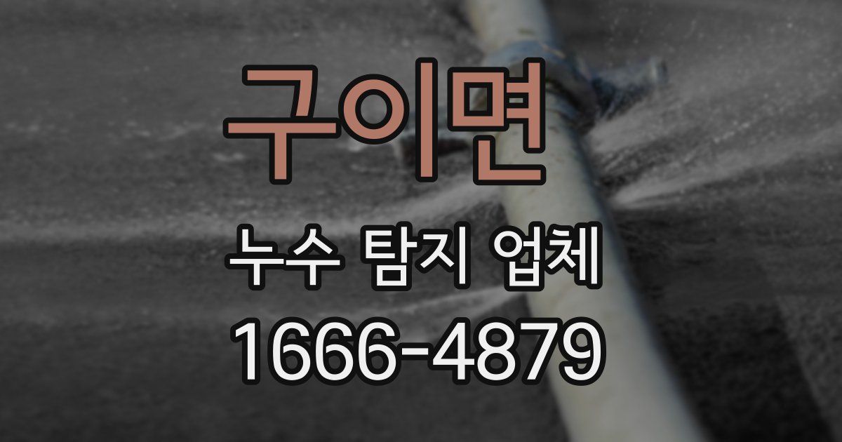구이면 누수 탐지 업체