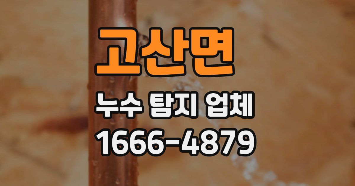 고산면 누수 탐지 업체