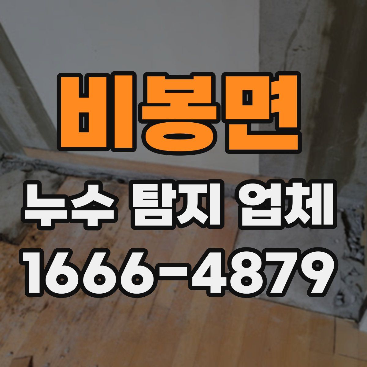 비봉면 누수 탐지 업체