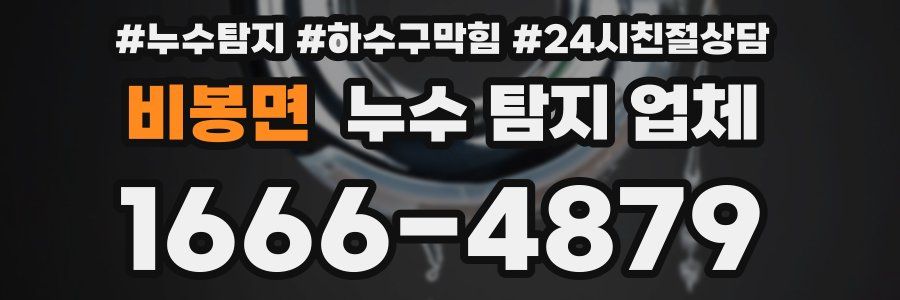 비봉면 누수 탐지 업체