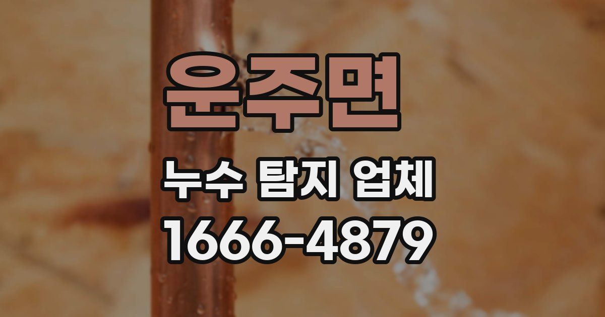 운주면 누수 탐지 업체
