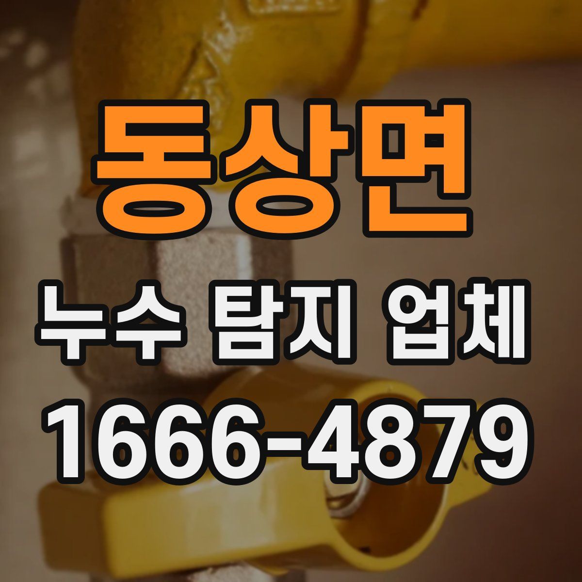 동상면 누수 탐지 업체