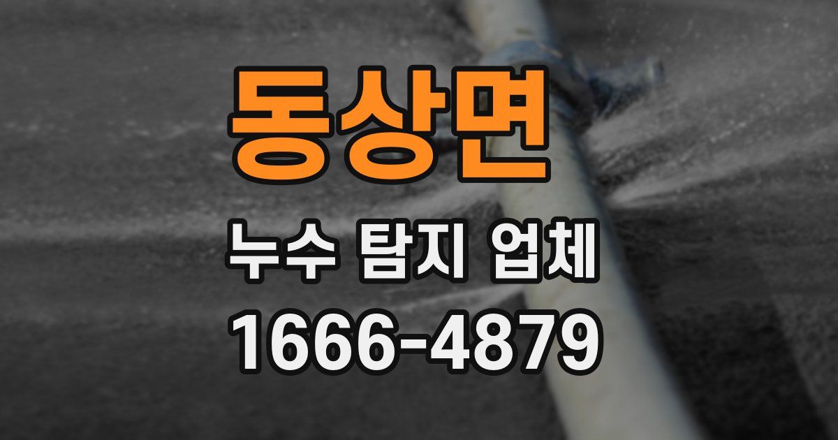 동상면 누수 탐지 업체