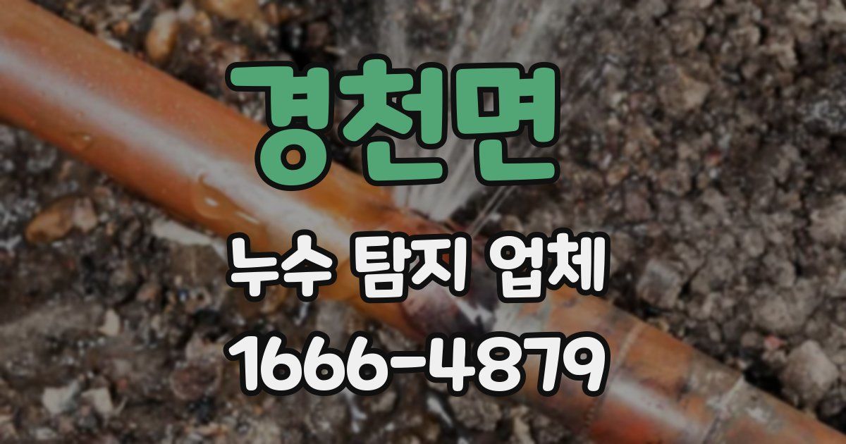 경천면 누수 탐지 업체