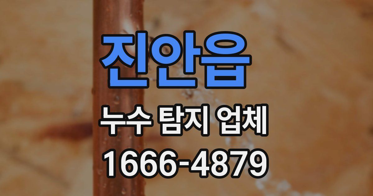 진안읍 누수 탐지 업체