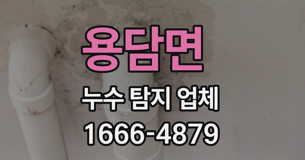 용담면 누수 탐지 업체