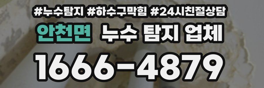안천면 누수 탐지 업체