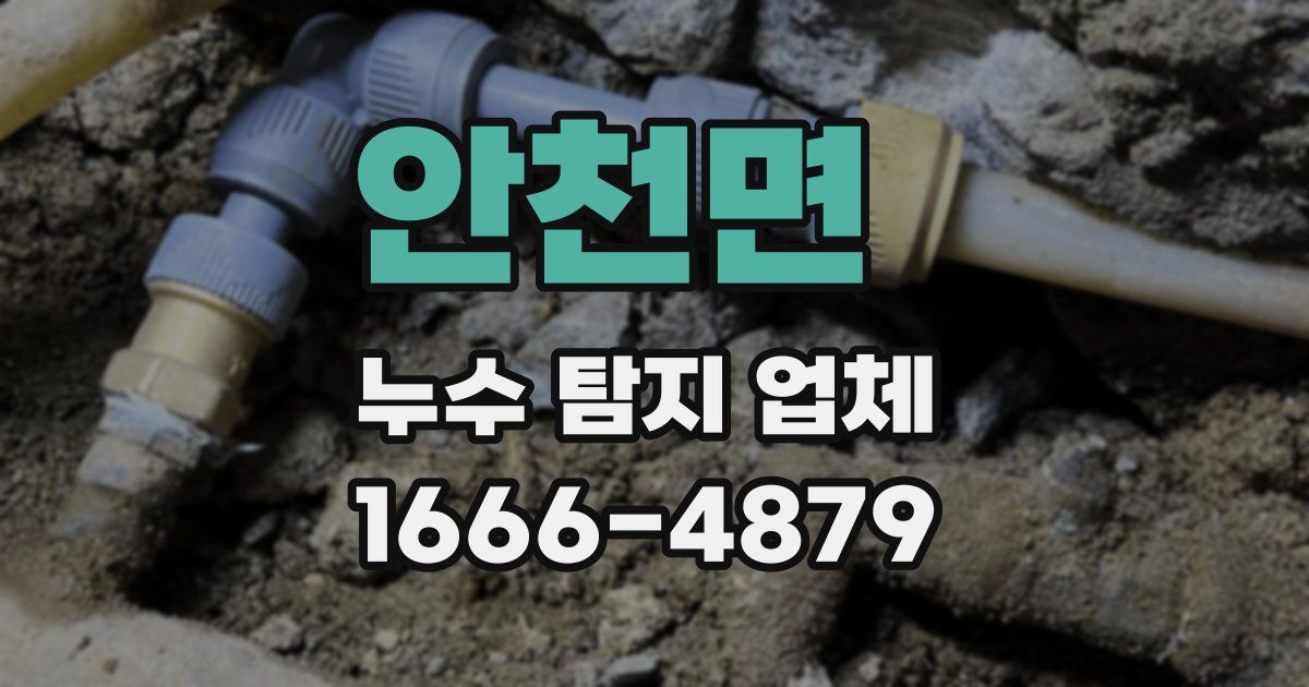 안천면 누수 탐지 업체