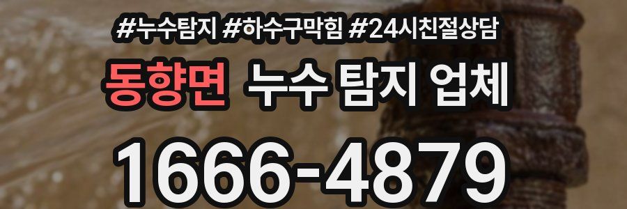 동향면 누수 탐지 업체
