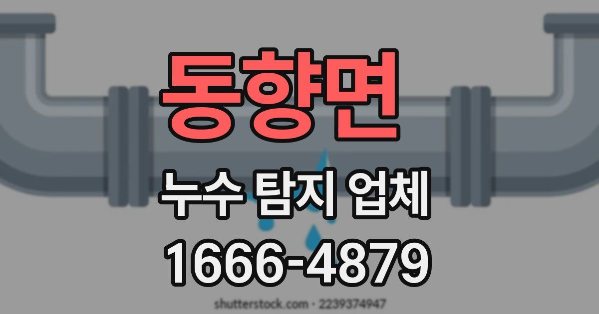 동향면 누수 탐지 업체