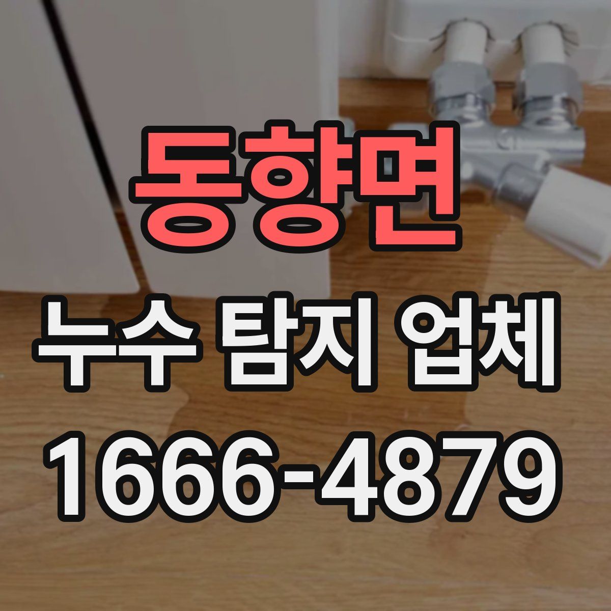동향면 누수 탐지 업체