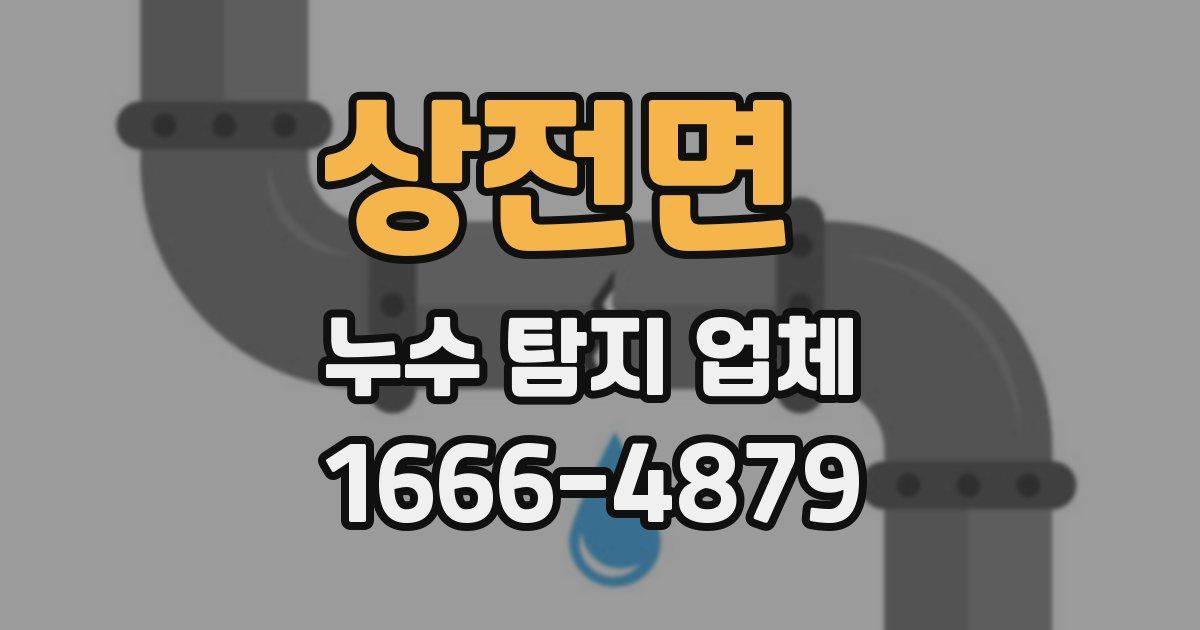 상전면 누수 탐지 업체