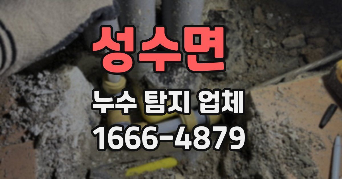성수면 누수 탐지 업체