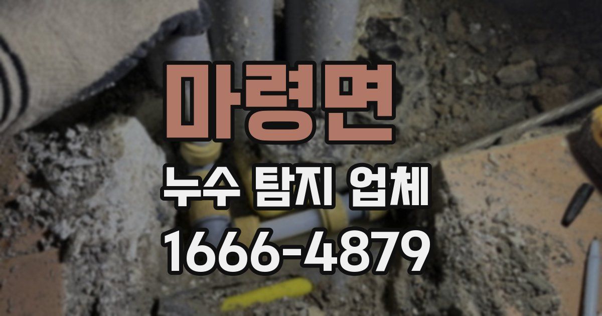 마령면 누수 탐지 업체