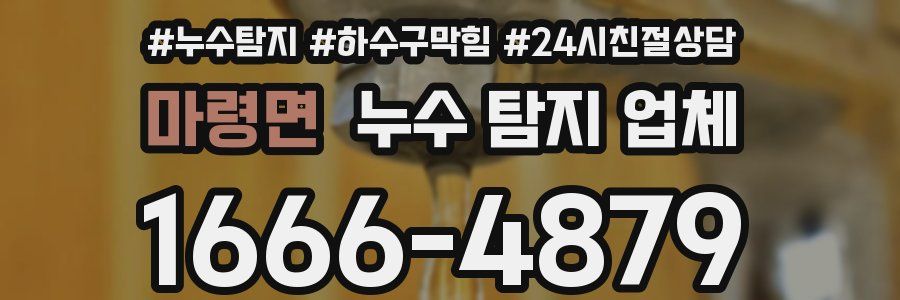 마령면 누수 탐지 업체