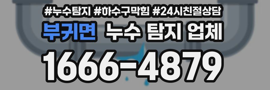 부귀면 누수 탐지 업체