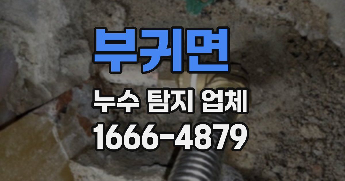 부귀면 누수 탐지 업체