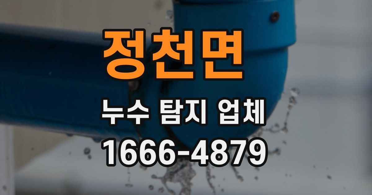 정천면 누수 탐지 업체