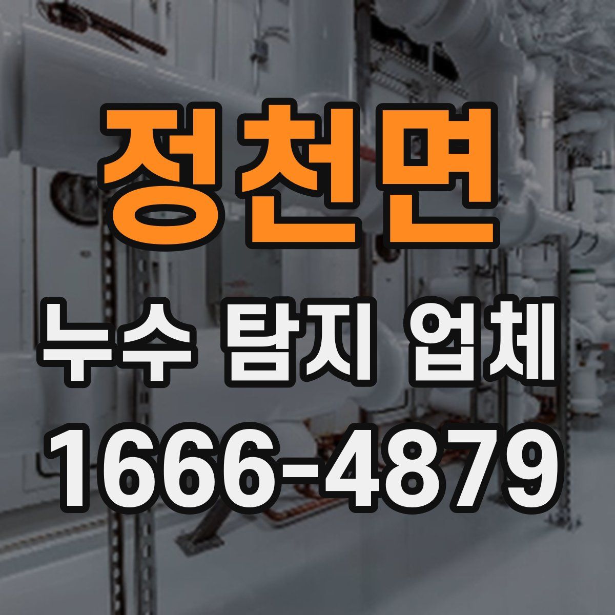정천면 누수 탐지 업체