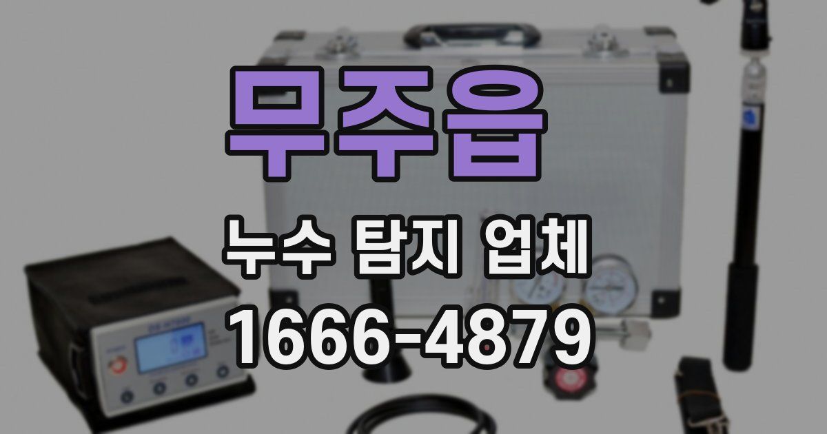 무주읍 누수 탐지 업체