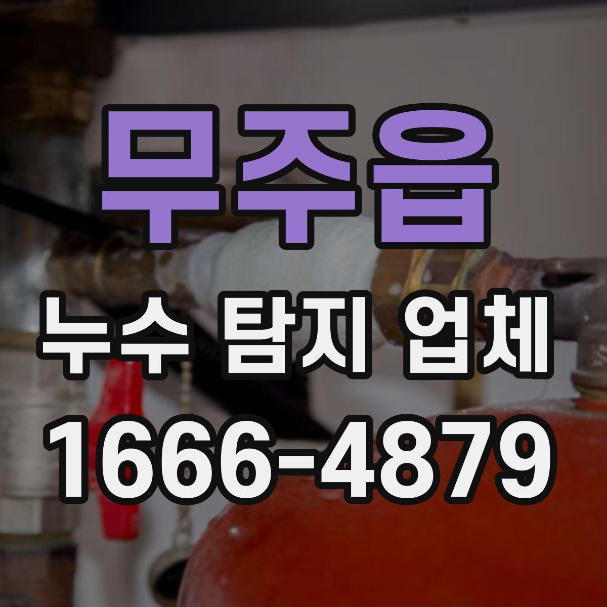 무주읍 누수 탐지 업체