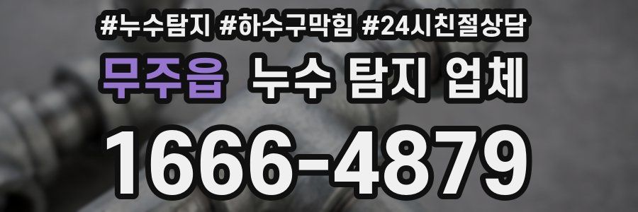 무주읍 누수 탐지 업체