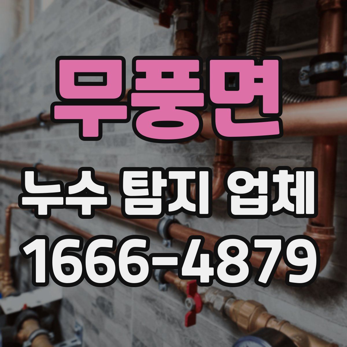 무풍면 누수 탐지 업체