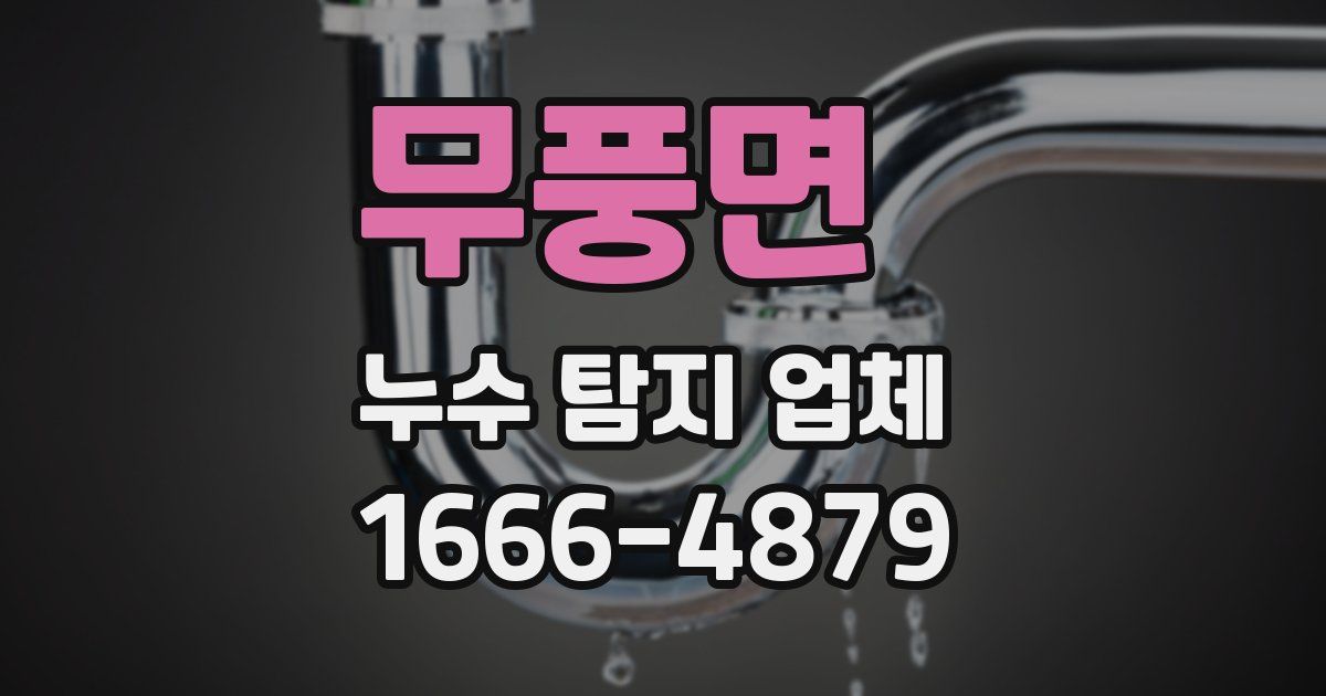 무풍면 누수 탐지 업체