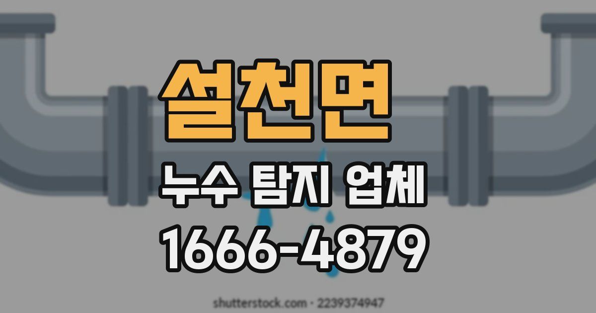 설천면 누수 탐지 업체