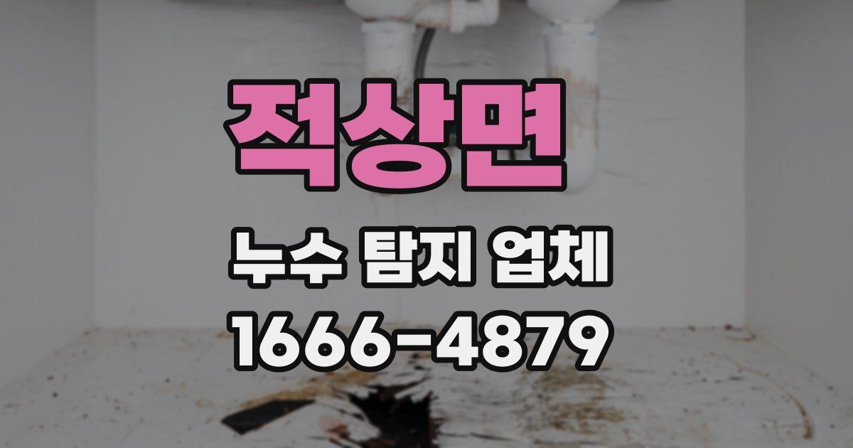 적상면 누수 탐지 업체