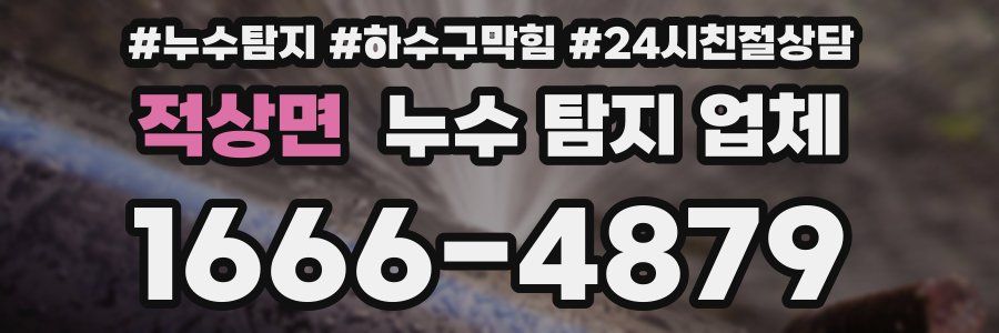 적상면 누수 탐지 업체