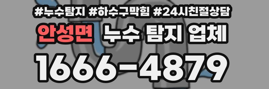 안성면 누수 탐지 업체