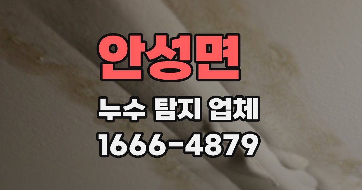 안성면 누수 탐지 업체