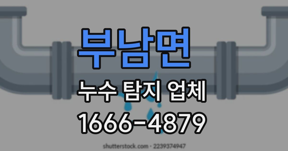 부남면 누수 탐지 업체