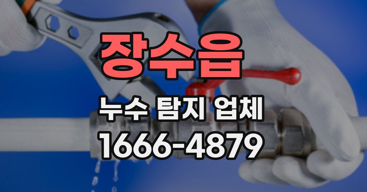 장수읍 누수 탐지 업체