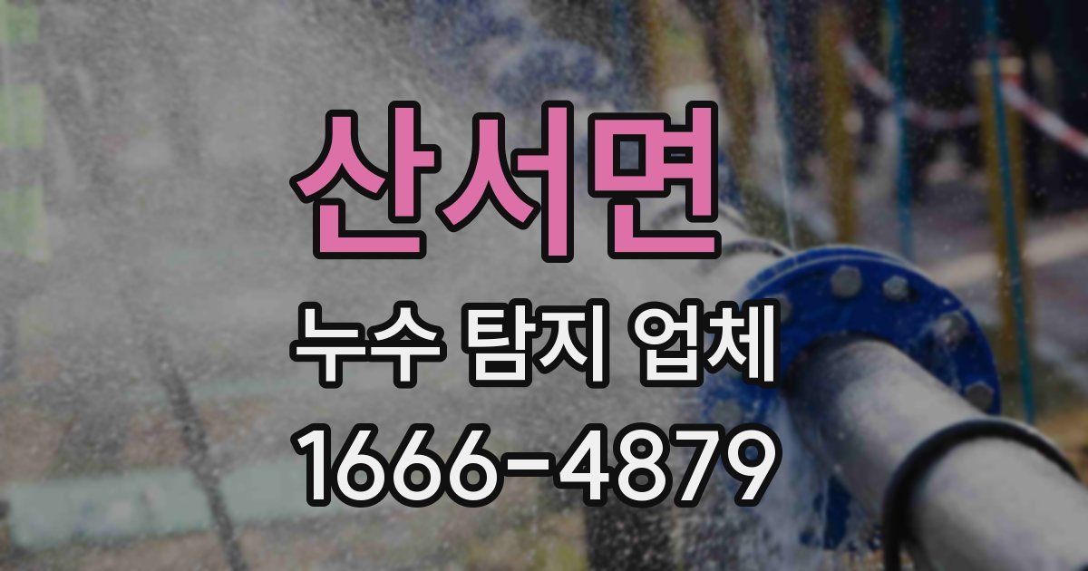 산서면 누수 탐지 업체