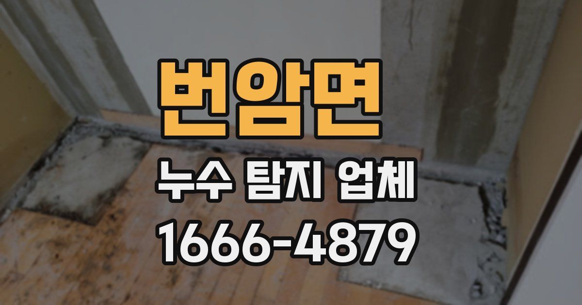 번암면 누수 탐지 업체
