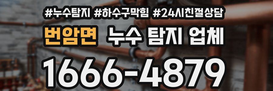 번암면 누수 탐지 업체
