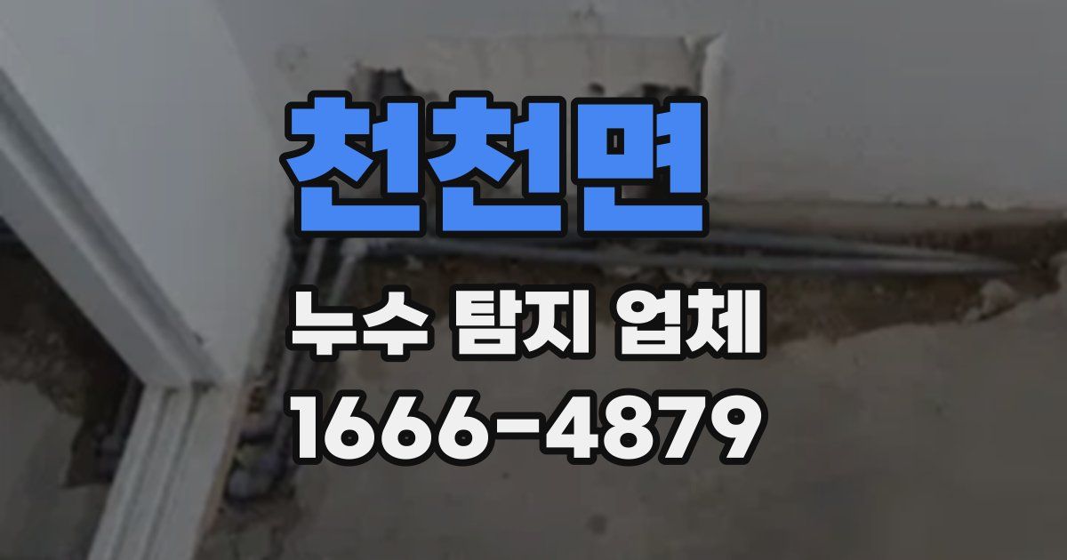 천천면 누수 탐지 업체