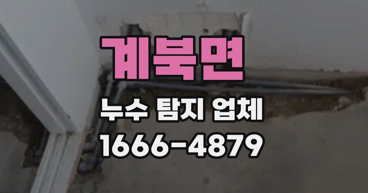 계북면 누수 탐지 업체
