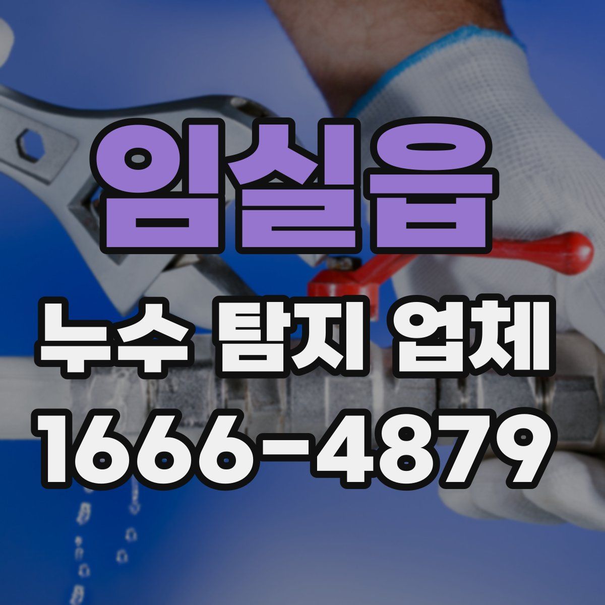 임실읍 누수 탐지 업체