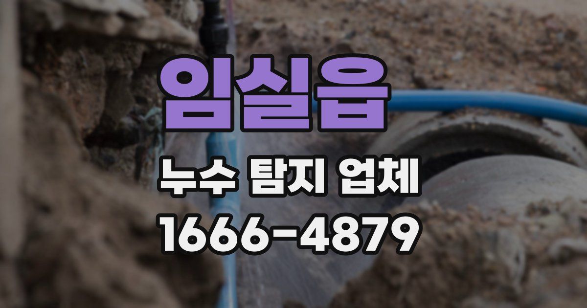 임실읍 누수 탐지 업체