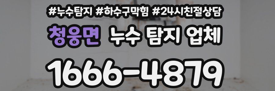 청웅면 누수 탐지 업체