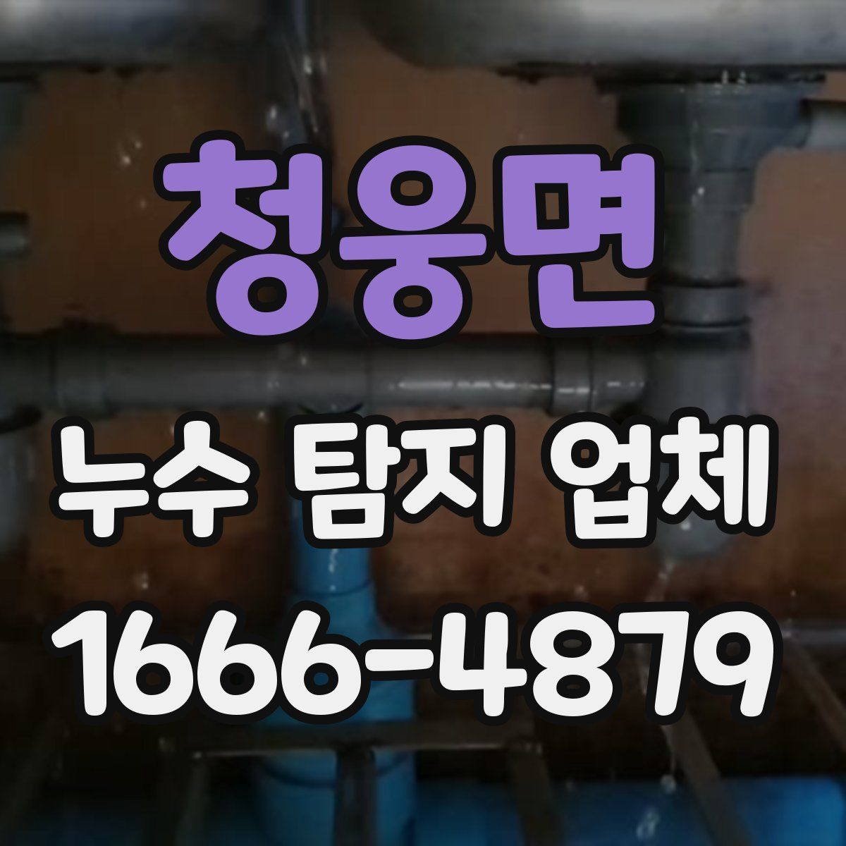 청웅면 누수 탐지 업체