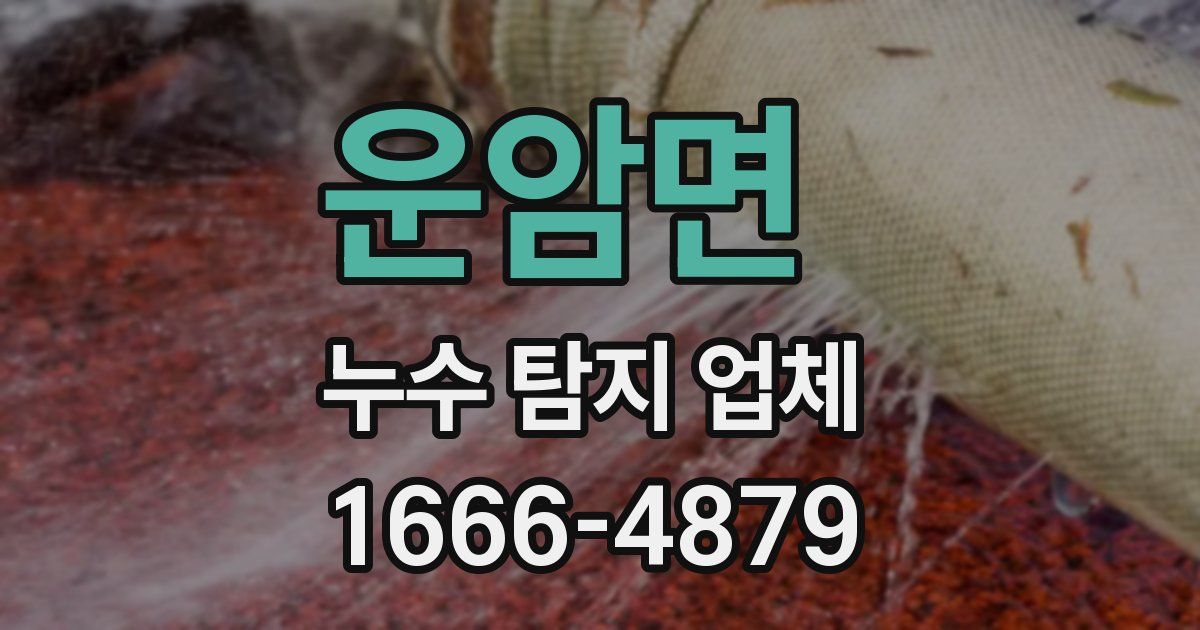 운암면 누수 탐지 업체