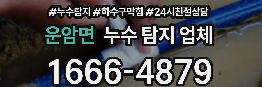 운암면 누수 탐지 업체