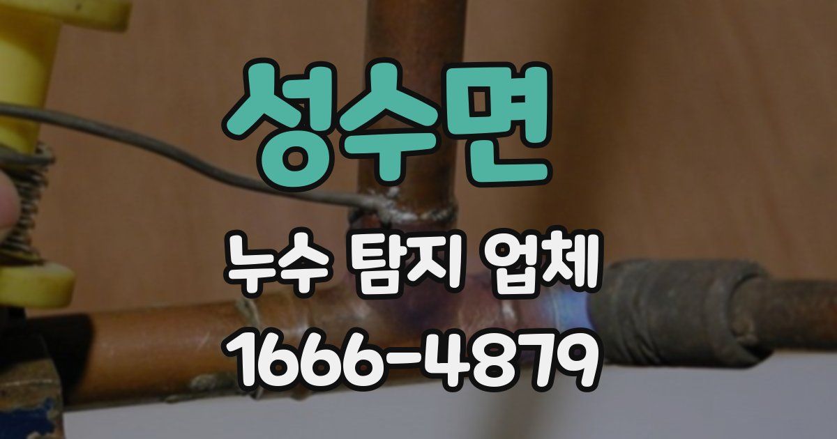 성수면 누수 탐지 업체