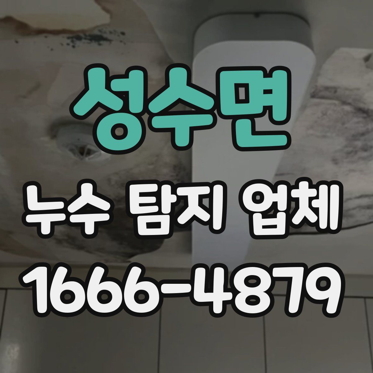 성수면 누수 탐지 업체
