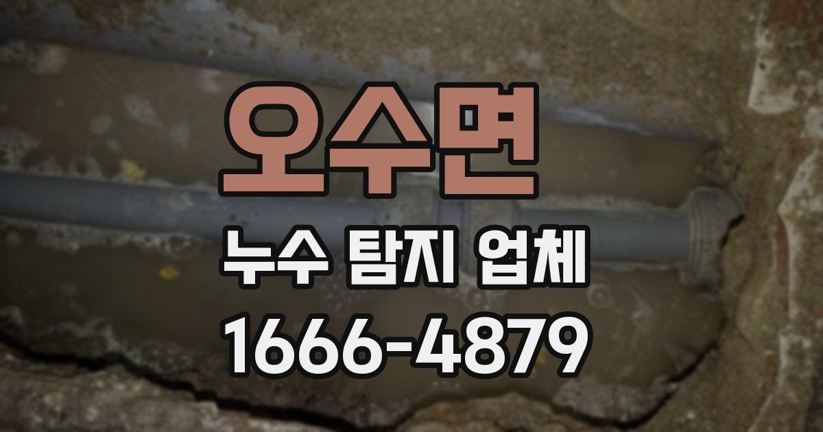 오수면 누수 탐지 업체