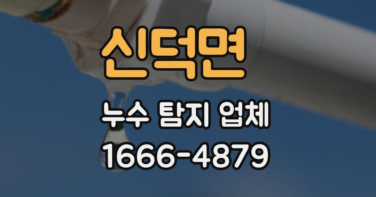 신덕면 누수 탐지 업체
